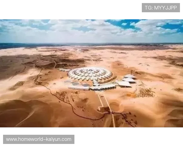 泛娱乐生态与体育经纪深度共建 推动运动员品牌在主流视野中的全息呈现